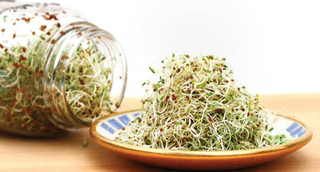 a product from the Sprouting category